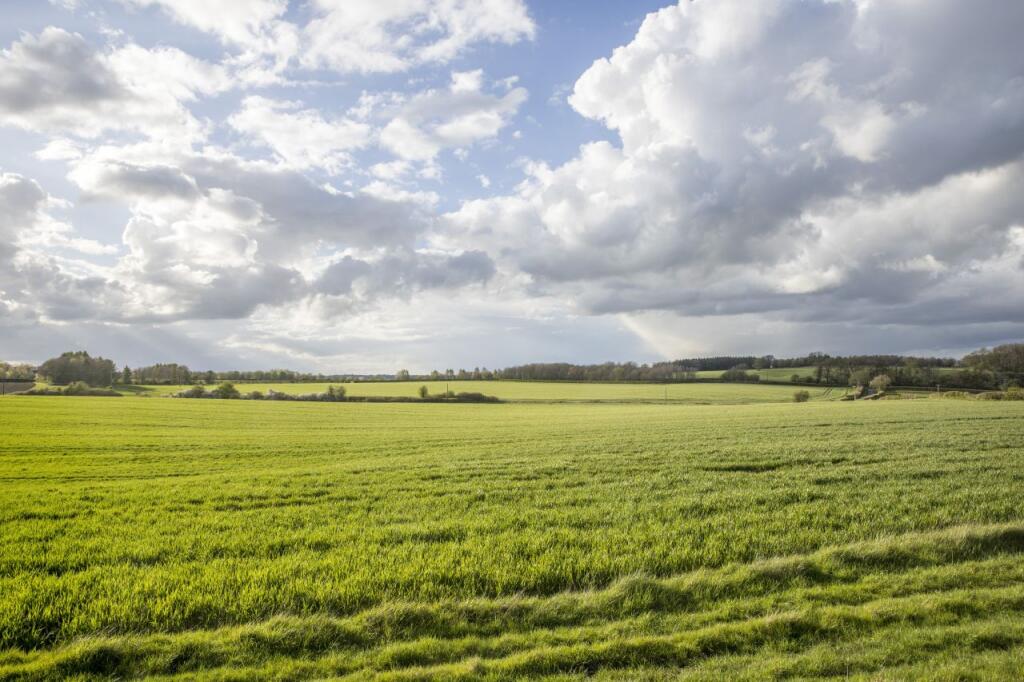 Highlands Farm