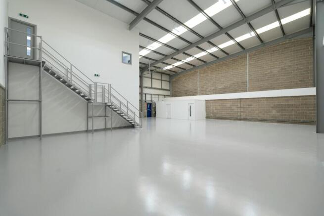 IW260325CAE10055.jpg