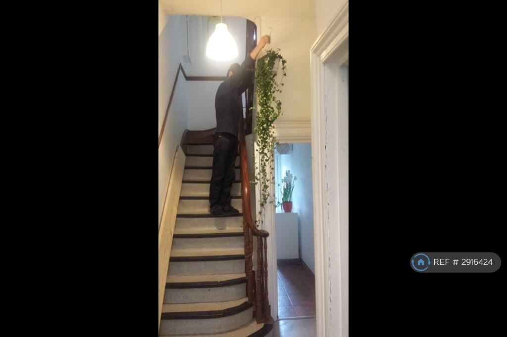 1 bedroom house share for rent