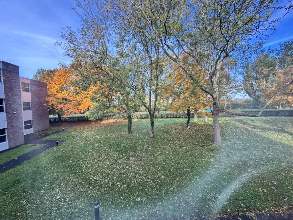 IMG_1477.JPEG