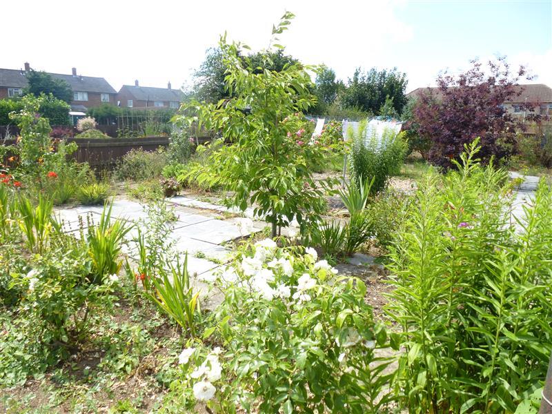 Photo of the property
