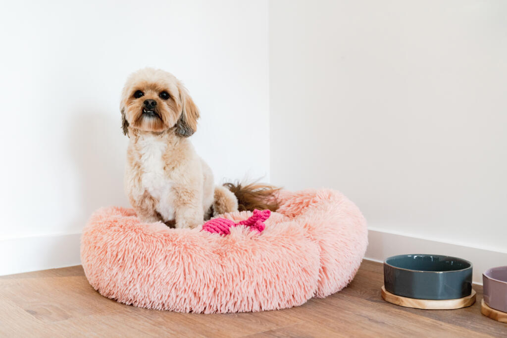 Main image of property: Fizzy Poplar, Lindfield Street, Poplar E14 6GP