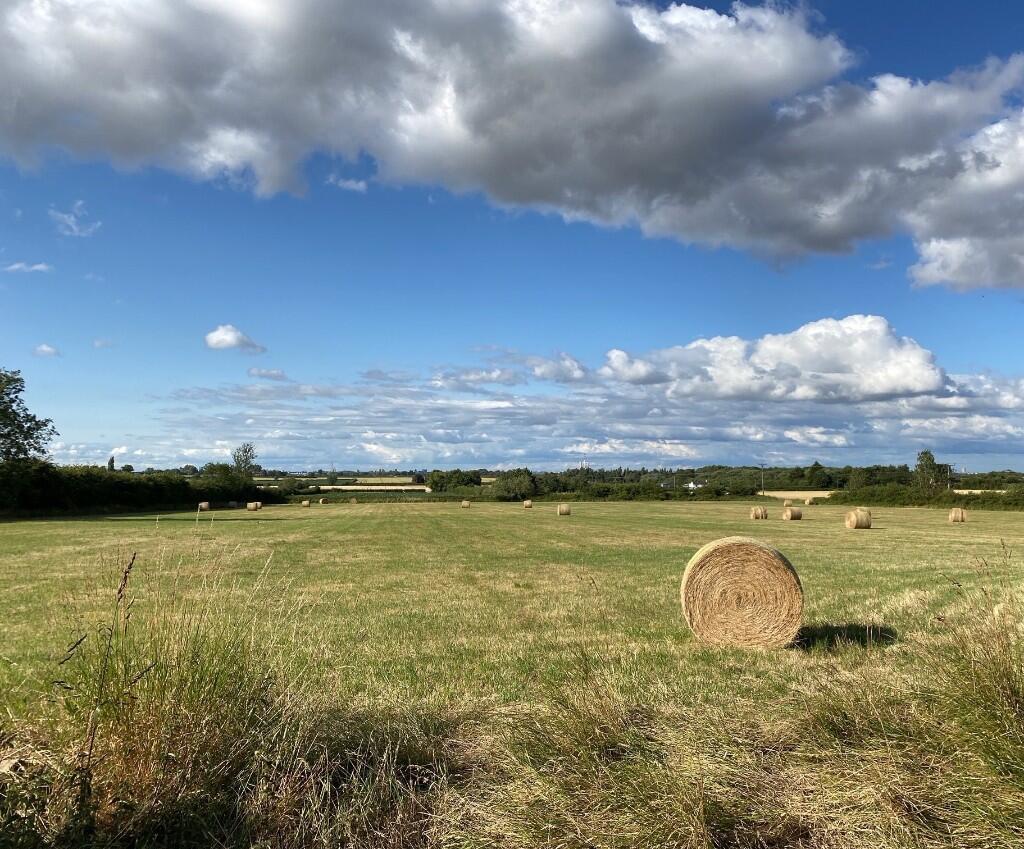Main image of property: 20.10acres, Versatile/Equestrian Grassland, College Road, Barrow-Upon-Humber, DN19