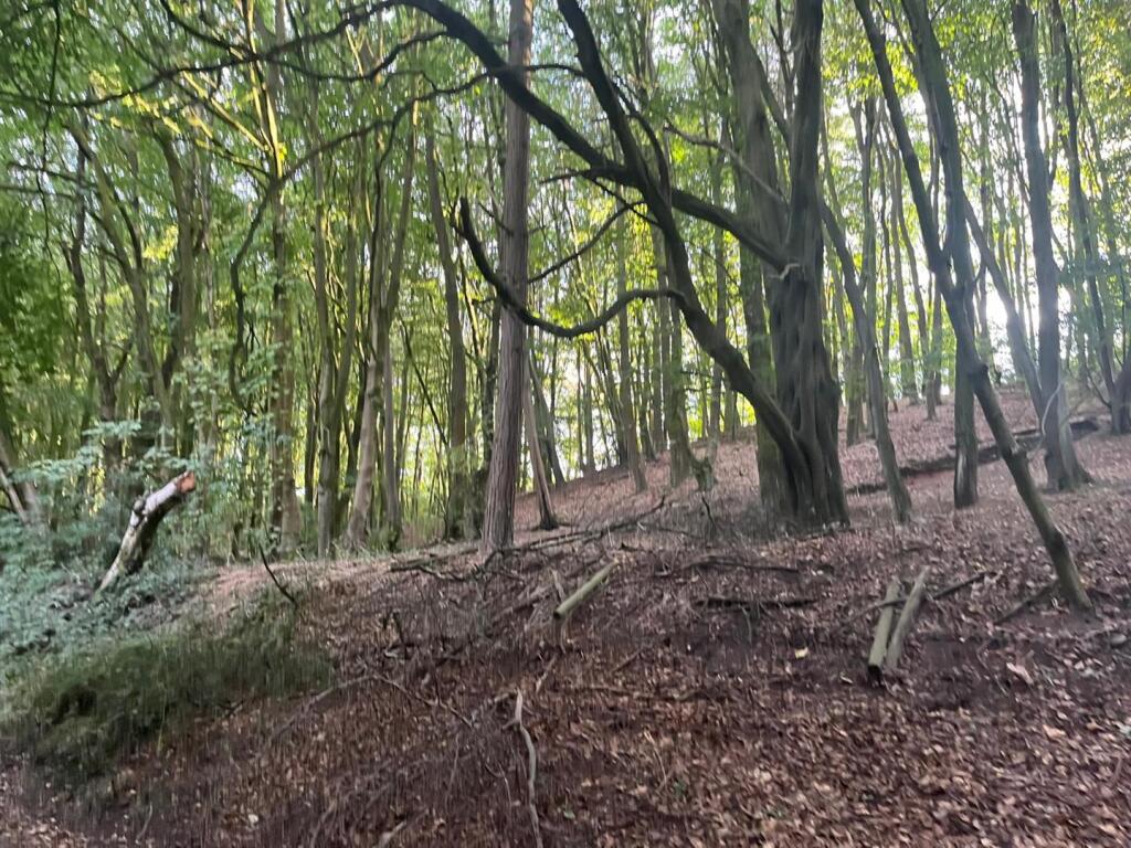 Tickhill Lane, Dilhorne, Stoke On Trent - View 2