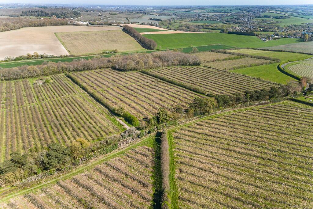 Main image of property: Lot 6 - The Oggstown Land, Chilham, Canterbury, Kent 