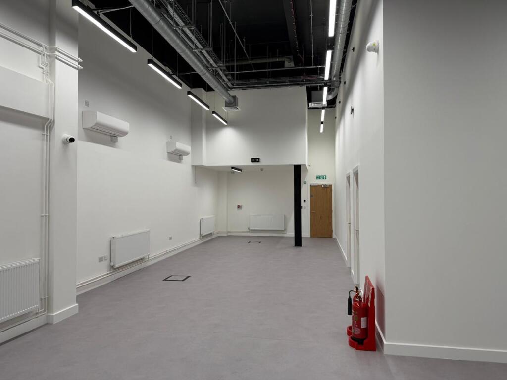 p6.jpg