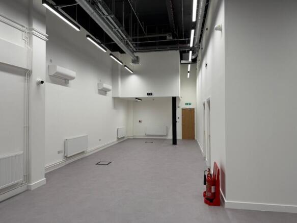 p6.jpg