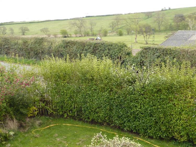 Photo of the property