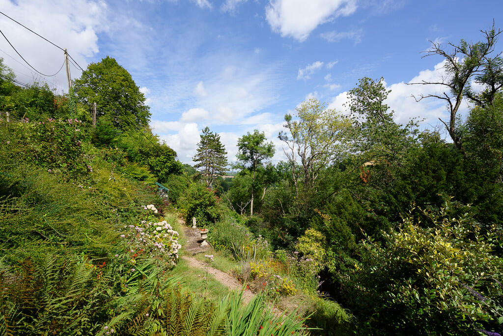 Symonds Yat photo 3