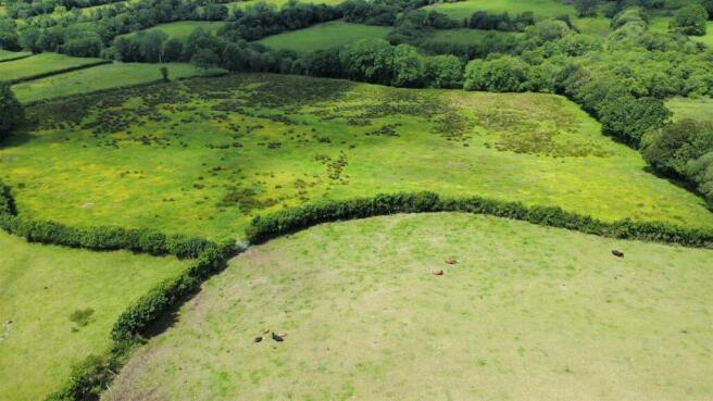 dji_fly_20260612_131226_79_1781272746582_photo_opt