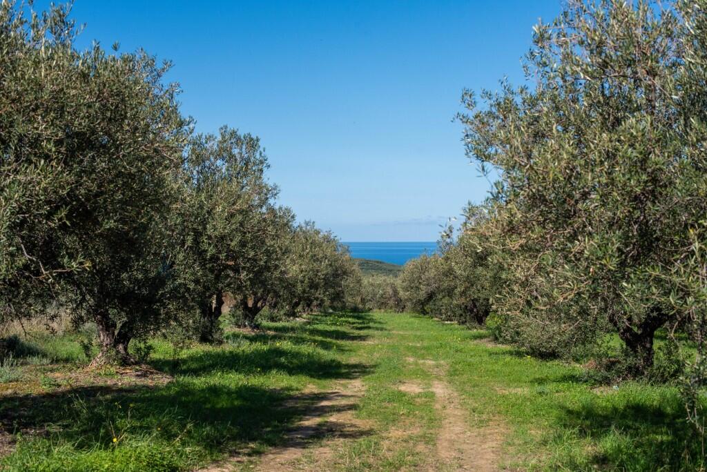 Main image of property: Xamoudochori, Chania, Crete