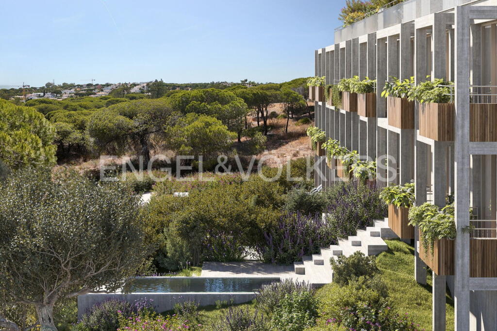 Main image of property: Algarve