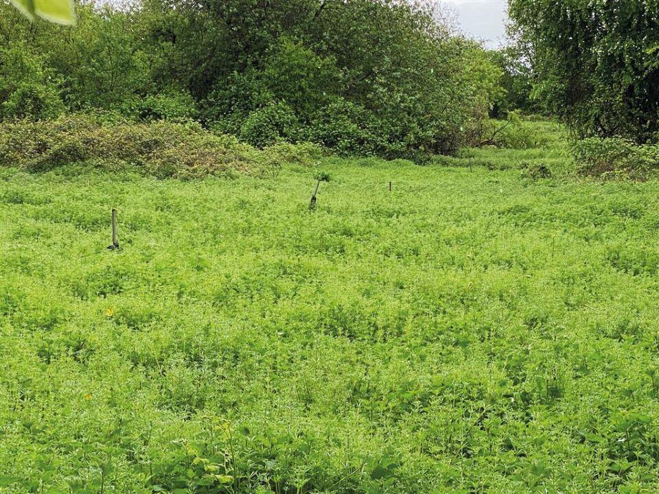 Additional image 3 of Plot D Land at the old nursery, Burton, Mere, Warminster, Wiltshire BA12 6AR