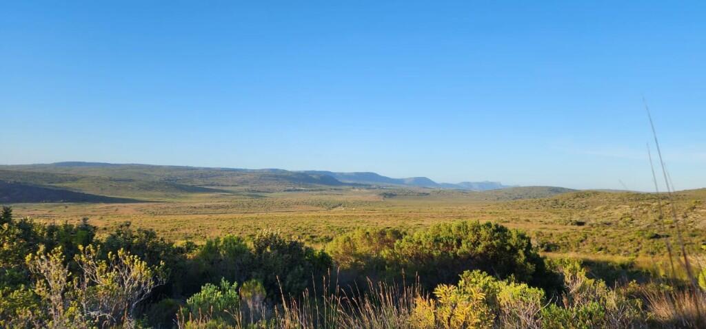 Main image of property: Albertinia, Western Cape
