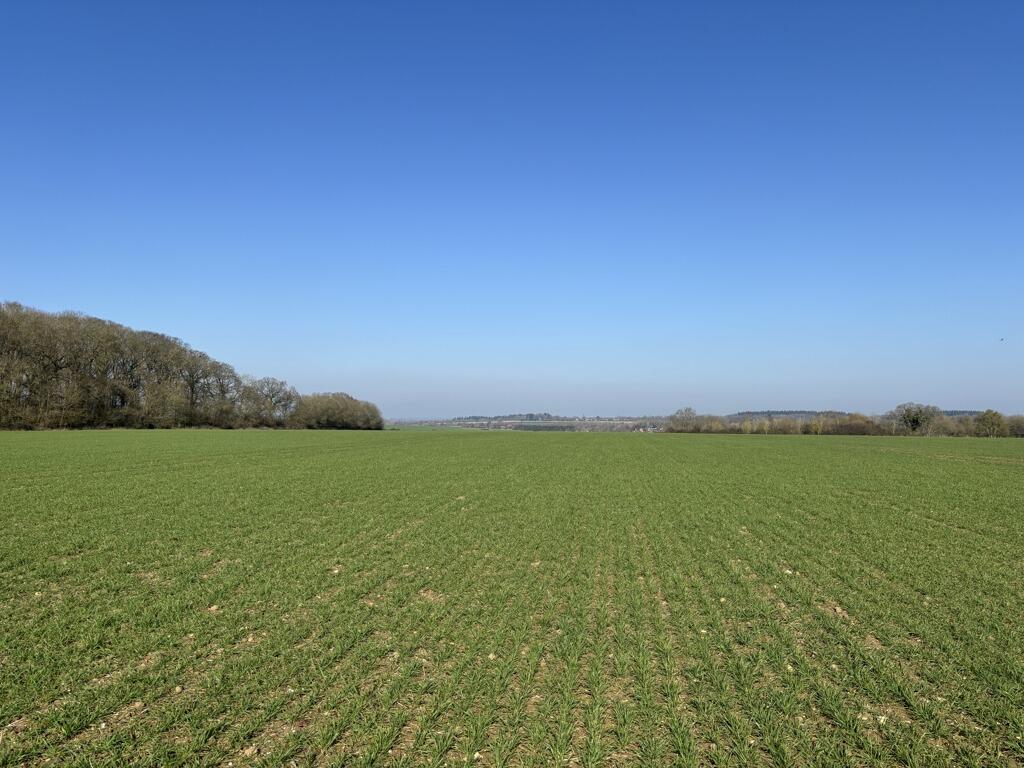 Main image of property: Land At Block Farm, Bradfield Combust, Bury St. Edmunds, Suffolk, IP30 0LW