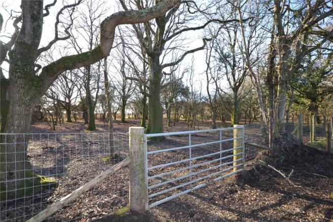 Access To New Forest