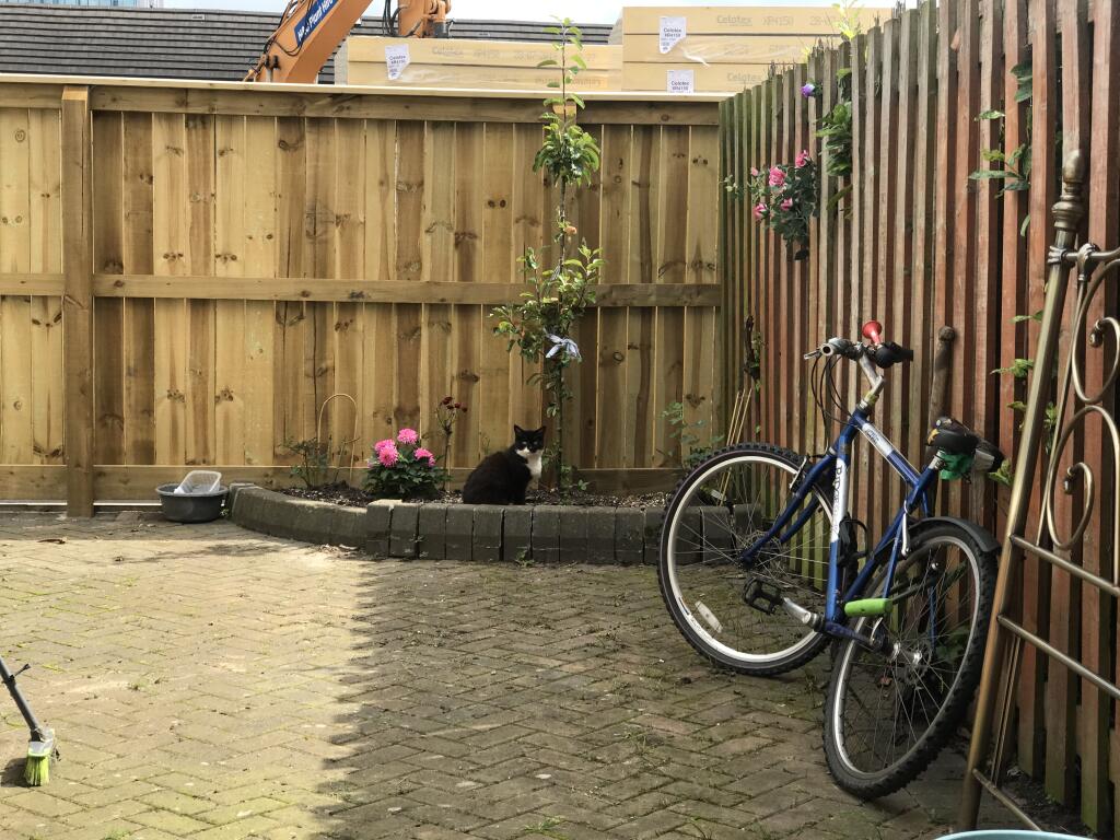 Property photo 8