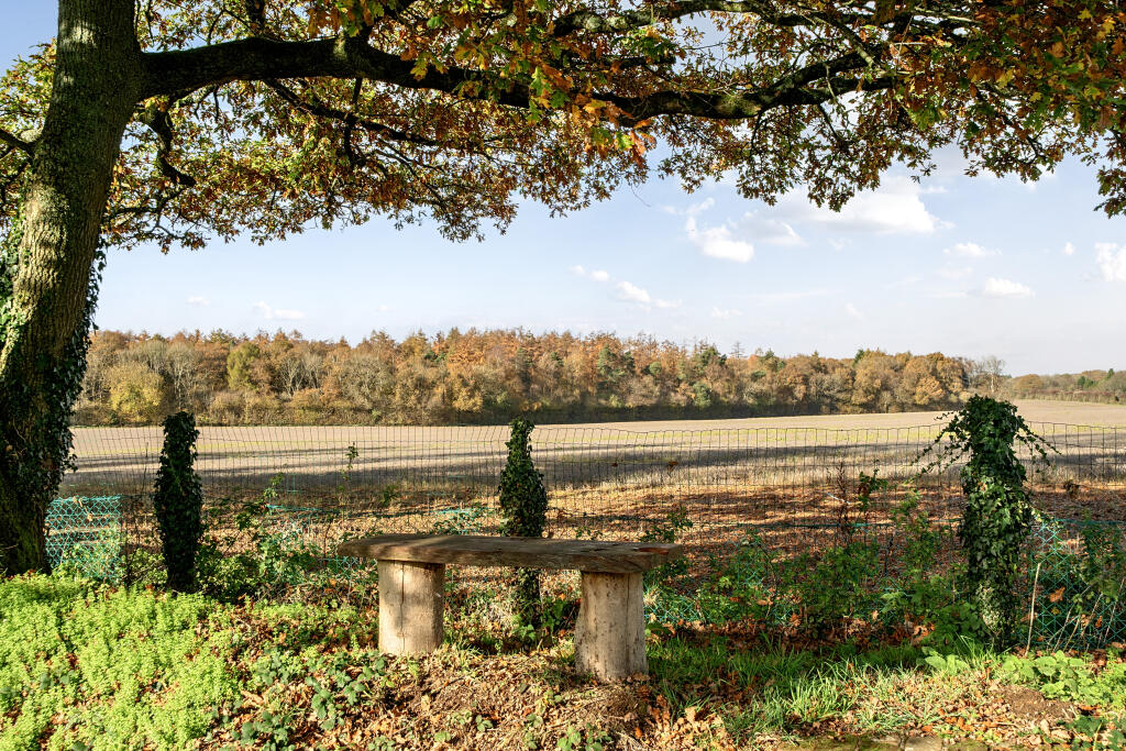 Swelling Hill, Ropley, SO24 photo 3