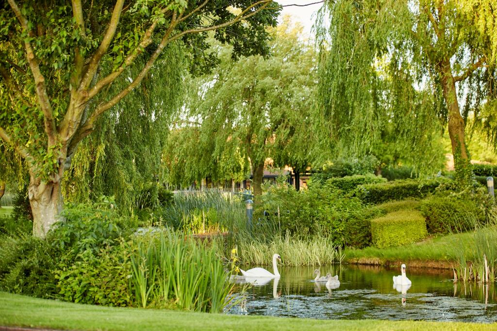 Main image of property: Caldecotte Lake Drive, Caldecotte, Milton Keynes