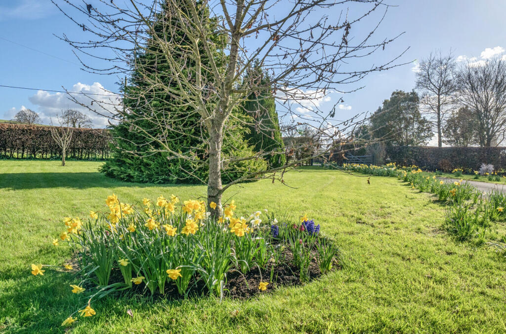 Additional image 27 of Wellhead Drove, Westbury, BA13