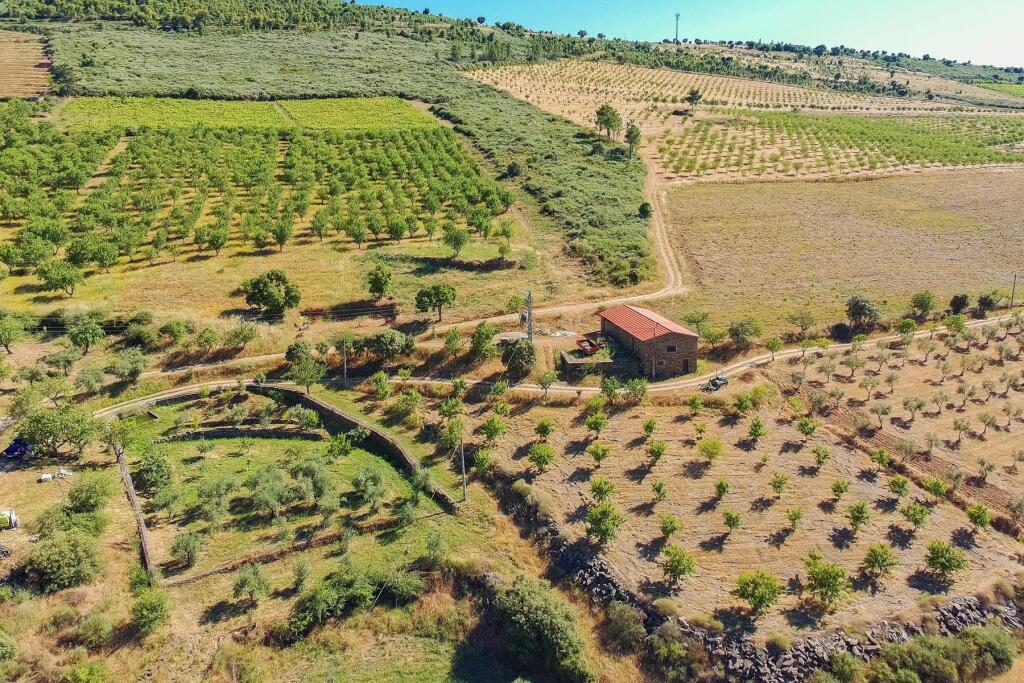 Main image of property: Tras-os-Montes, Freixo de Espada à Cinta