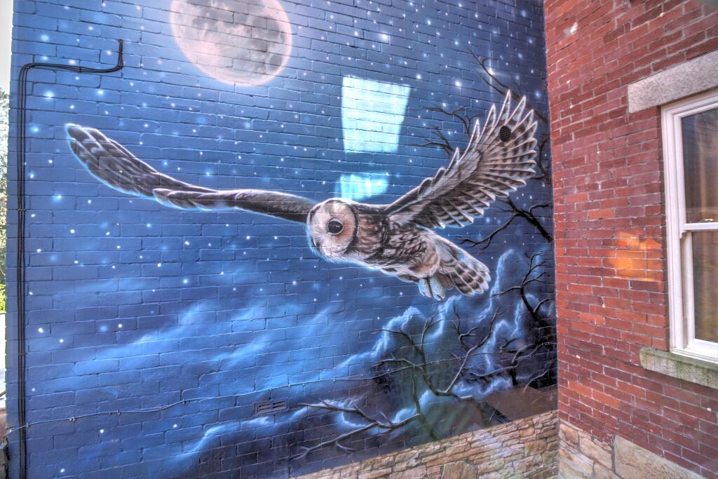 Additional image 29 of Whitehall Terrace, Darwen, BB3