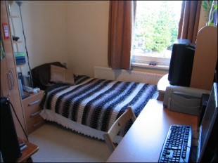 Photo of the property