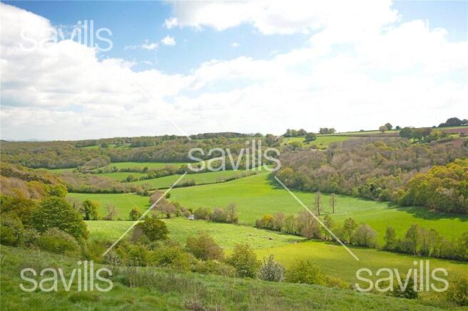 Shoot Valley
