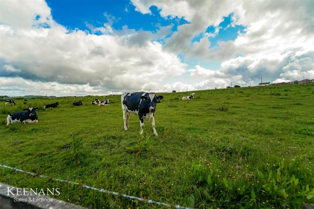 Additional image 20 of Cranberry Lane, Darwen