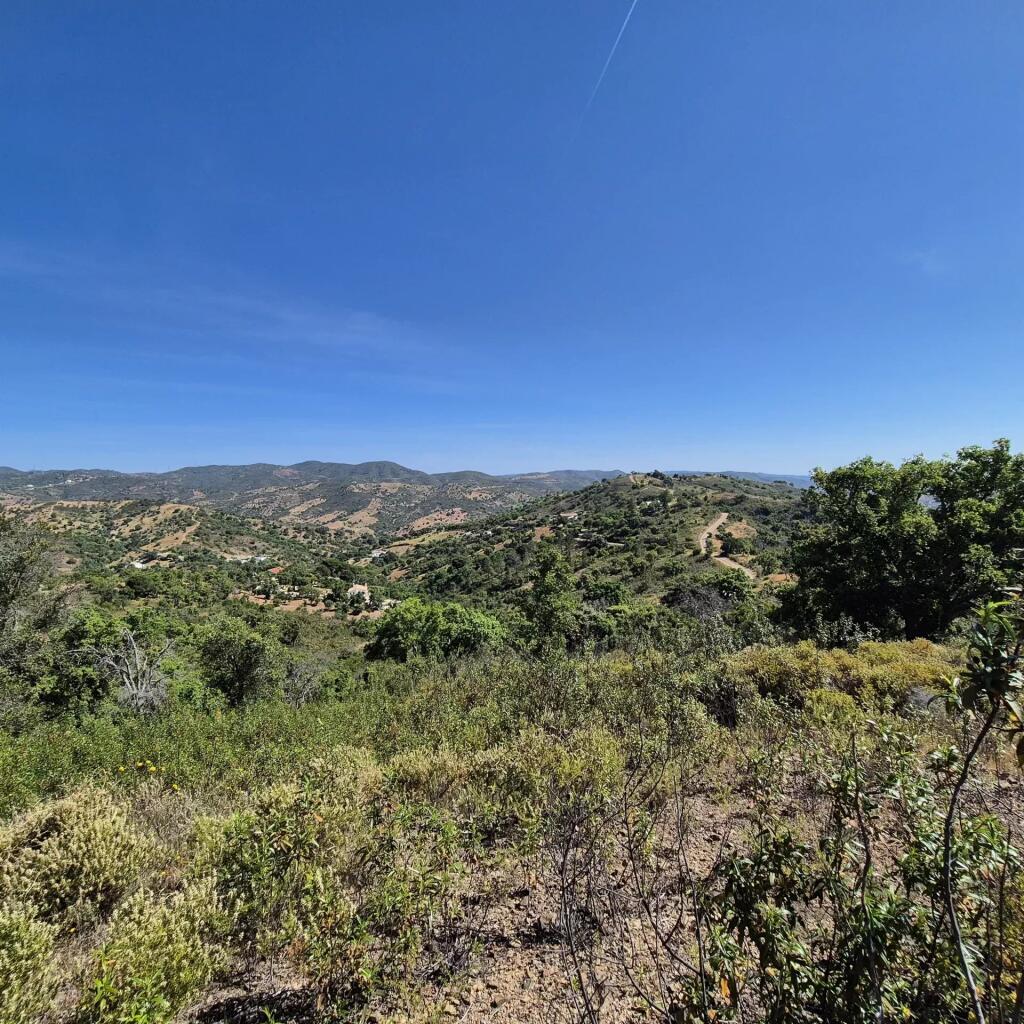 Main image of property: Algarve, Santa Catarina da Fonte do Bispo