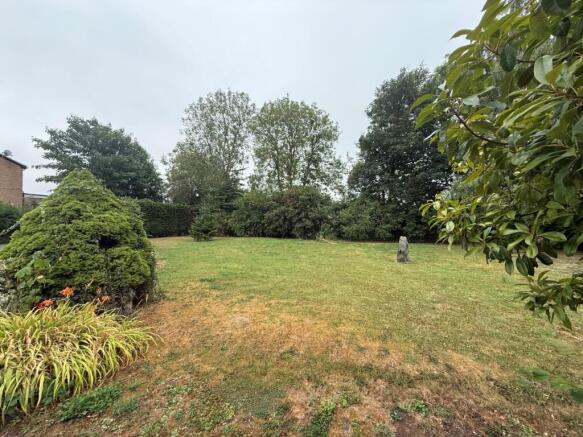 Maple plot 3