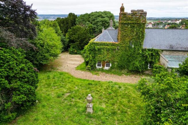 Hollis Morgan Auctions