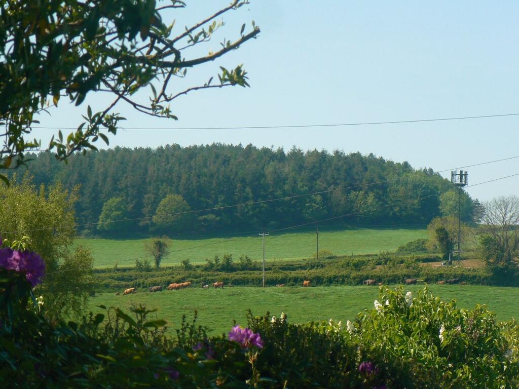 23 Russell Drive, East Budleigh, Budleigh Salterton, EX9 photo 3