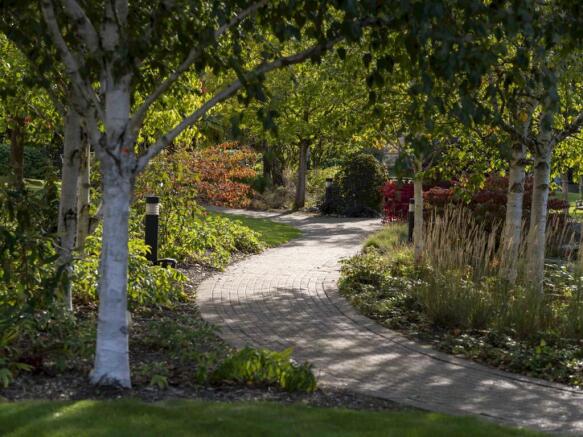 Pathways 8.jpg