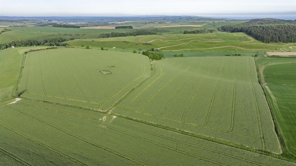 Coombe Road, Winterbourne Steepleton, Dorchester - View 4