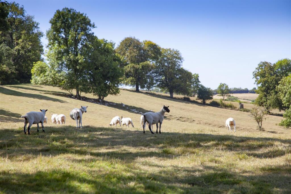 Chilfrome Farm, Chilfrome, Dorchester - View 5