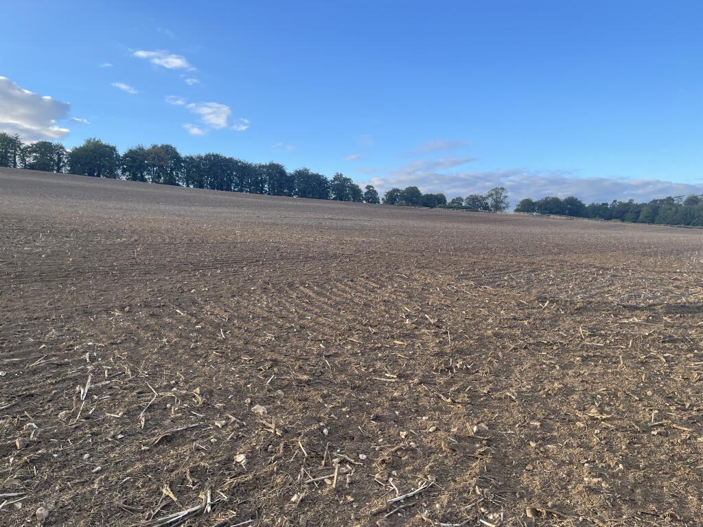 Land at Mare Lane, Owslebury, Winchester, SO21 1LF