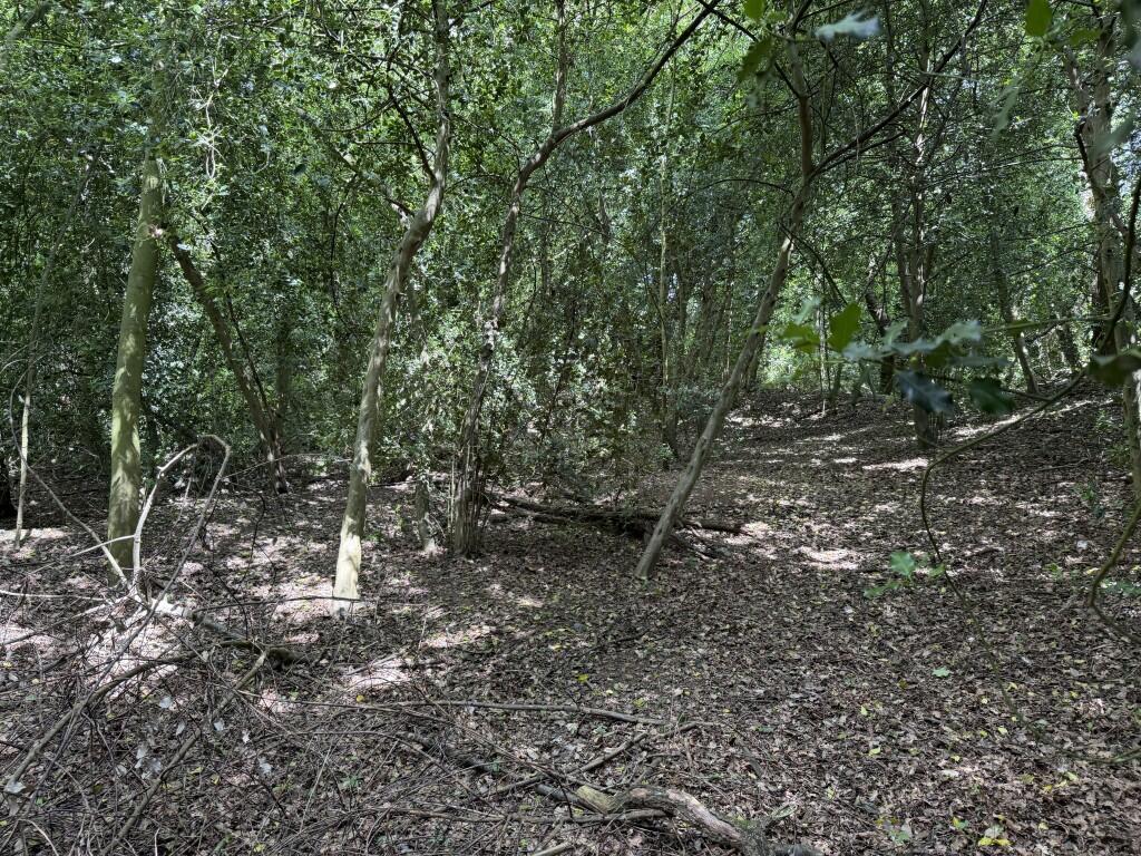 The Surveyors Pit, Gressenhall Road, Gressenhall, Dereham, Norfolk NR20 4HF - View 3