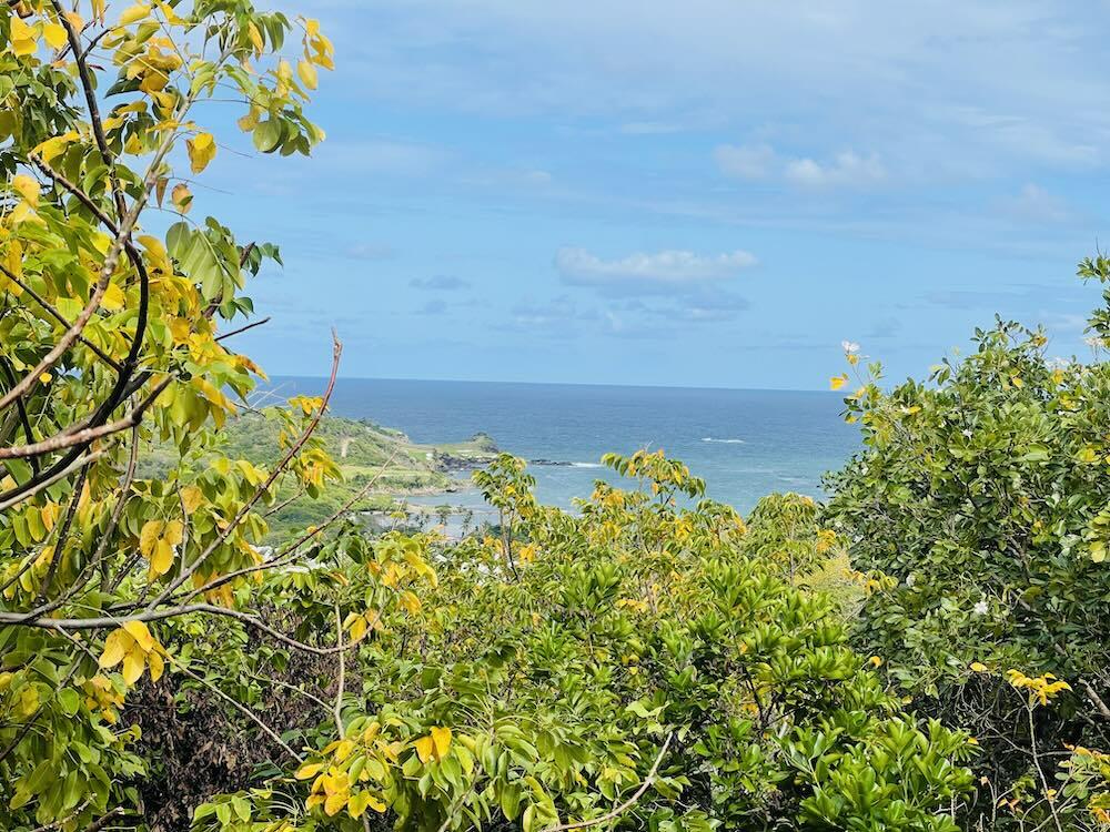 Main image of property: Cap Estate