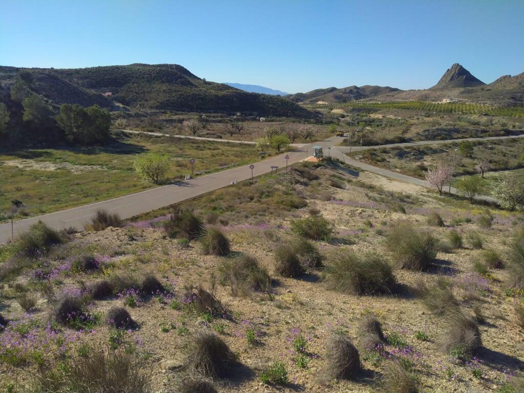 Main image of property: Murcia, Molina de Segura