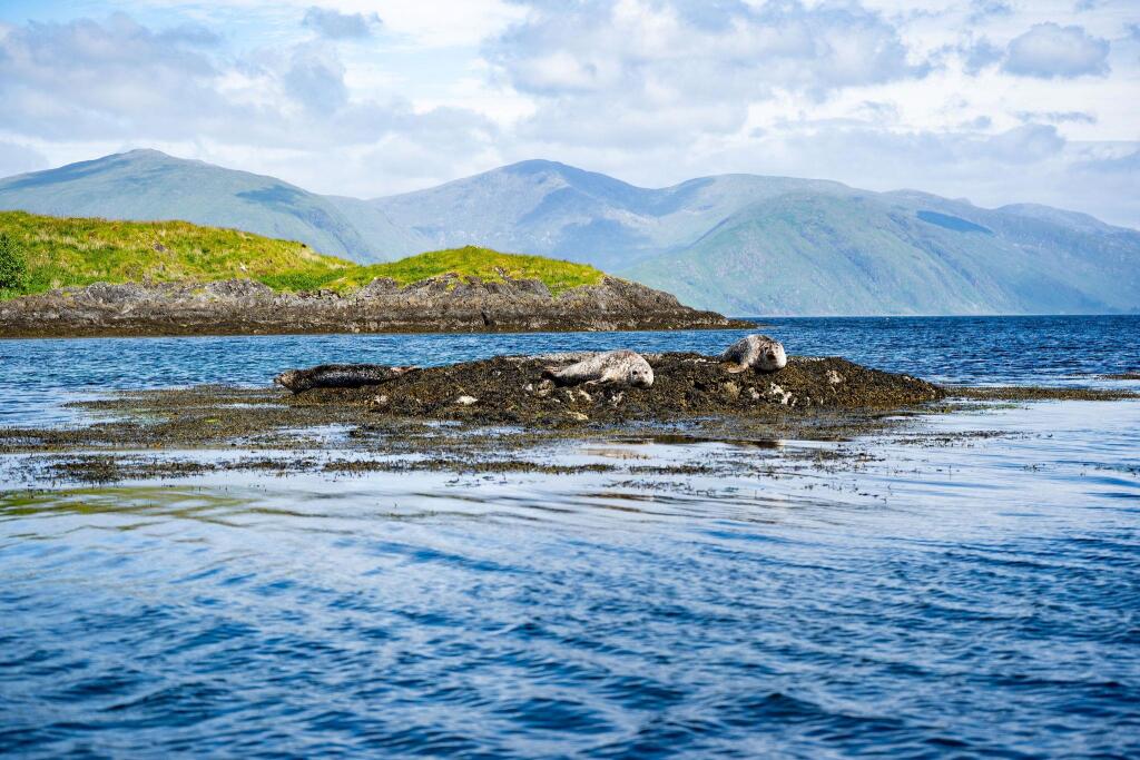 Lismore, Oban, Argyll and Bute, PA34 photo 3