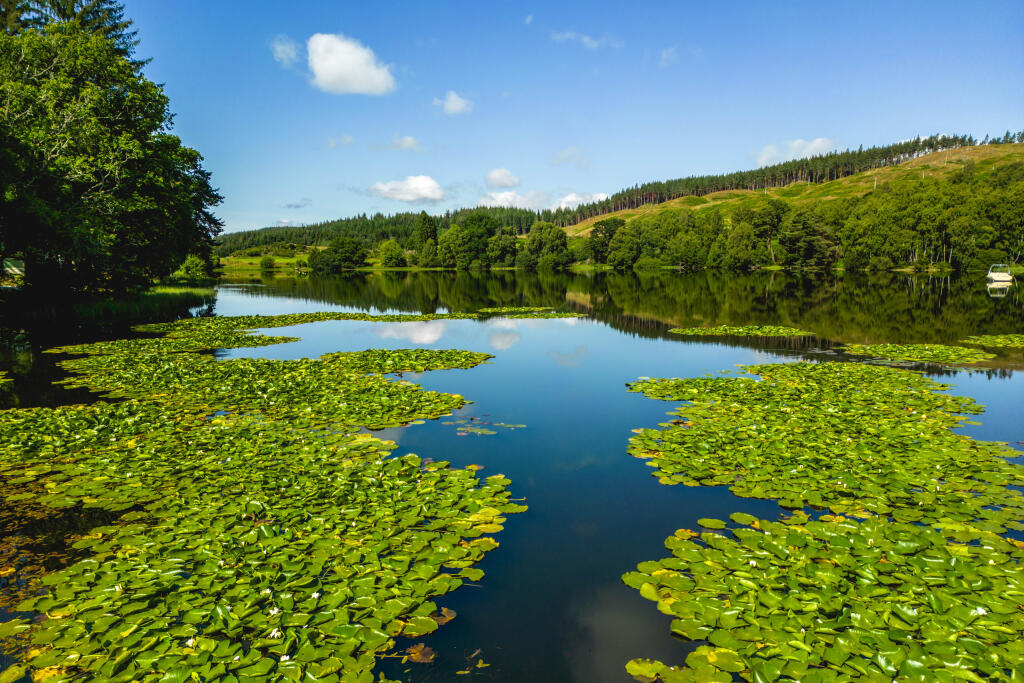 Additional image 38 of Lodgew on the Loch, Aboyne, Aberdeenshire