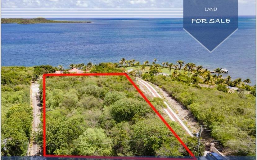 Main image of property: Non-Such Bay