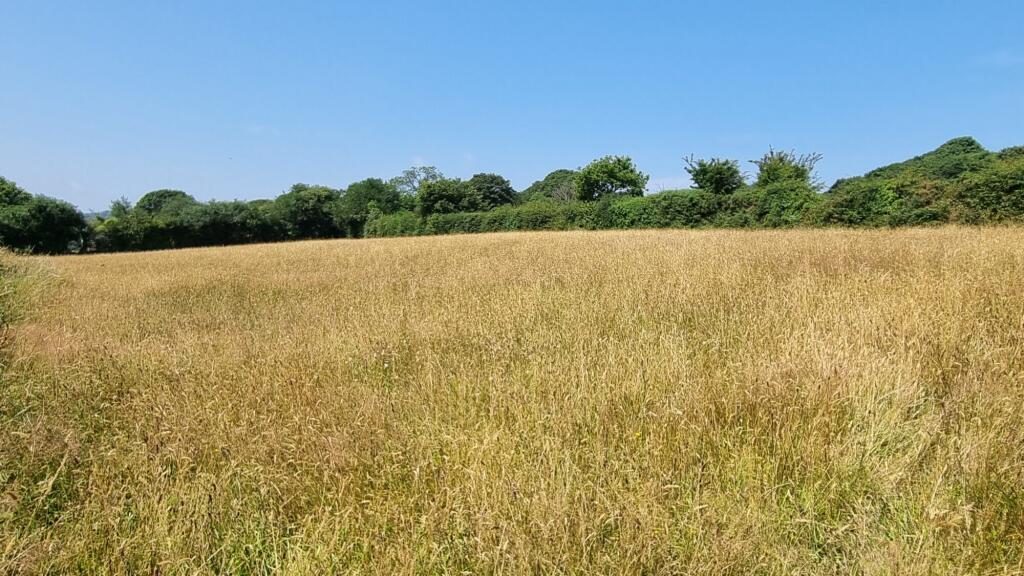 Main image of property: Cusgarne, Truro
