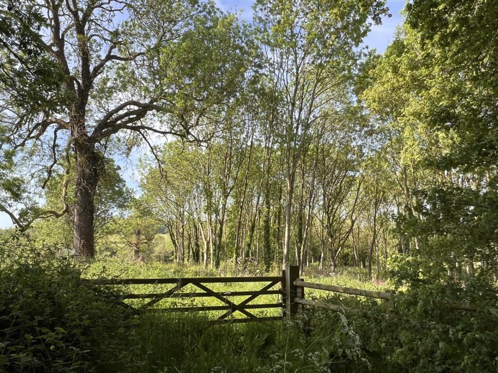 Main image of property: Woodland / Amenity Land at South Croxton, Leicestershire - about 2.15 acres
