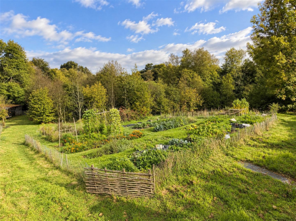 Vegetable Patch
