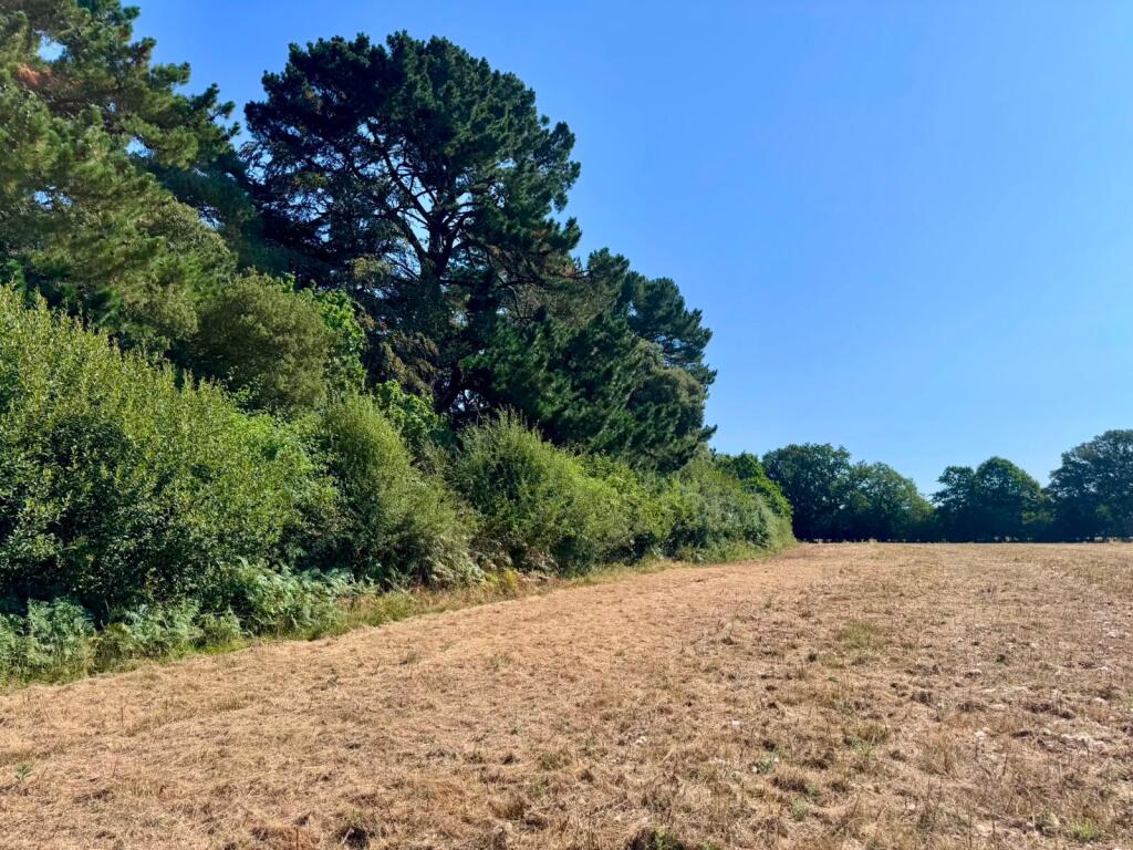Land To The South Of Picts Lane, Cowfold, Horsham, West Sussex - View 3