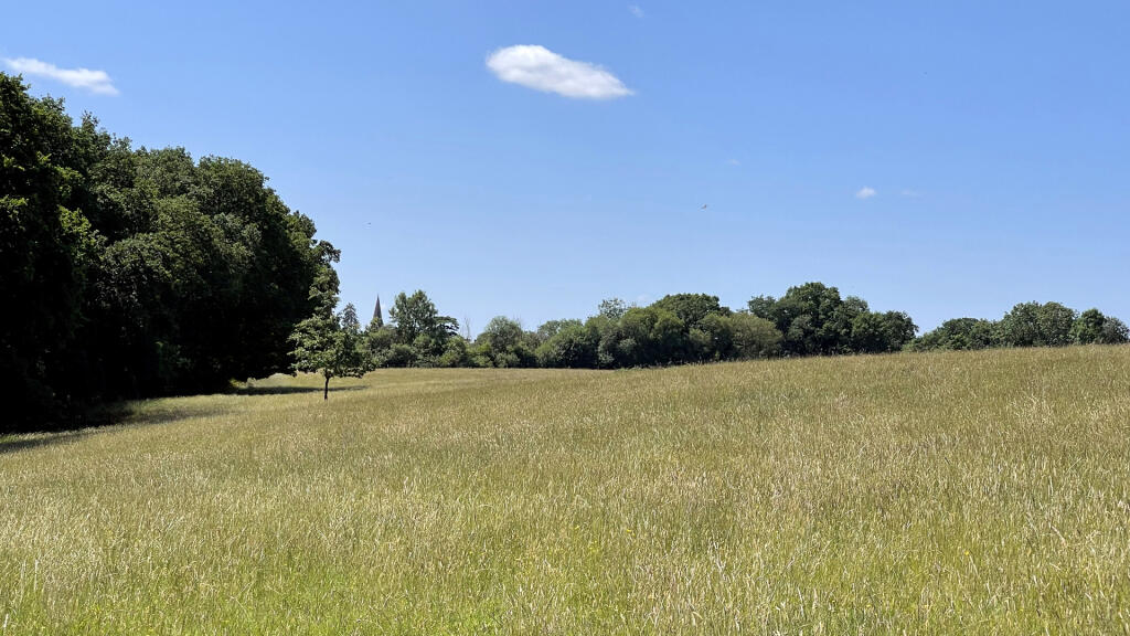 Land for sale in Sulhamstead, Reading