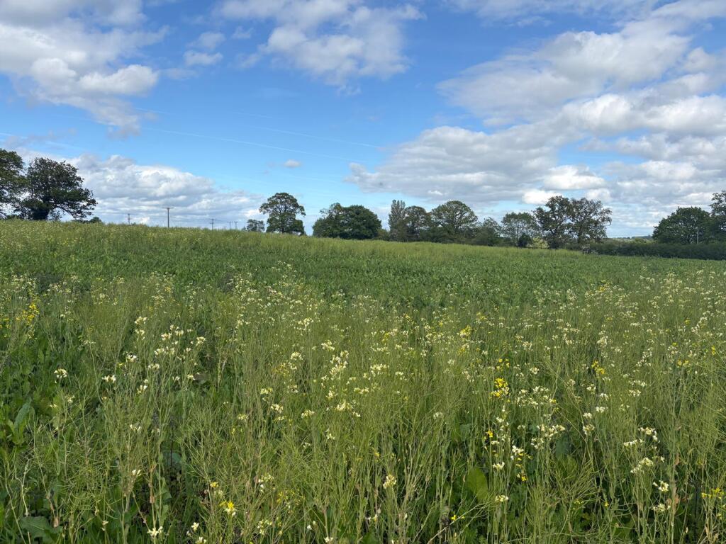 Main image of property: Land at Copmere End - Lot Three