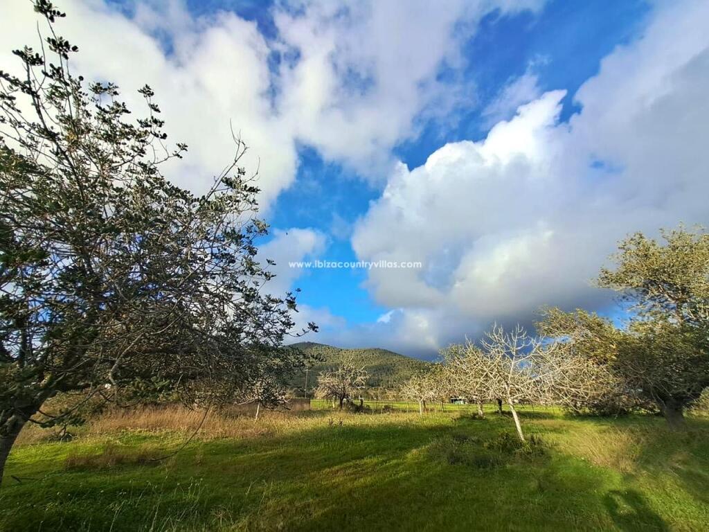 Main image of property: Balearic Islands, Ibiza